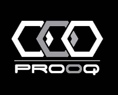 Logo PROOQ LLC